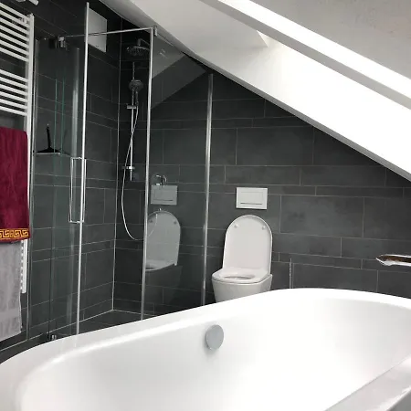 Daire Ceconi-loft Alice Salzburg